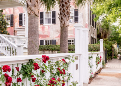 Charleston Roses