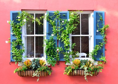 Charleston Windows