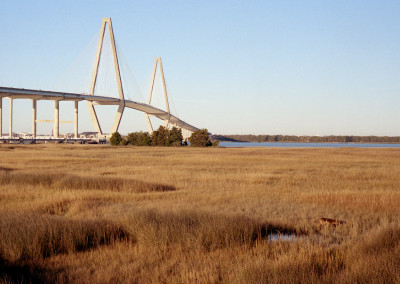 Coyote and Ravenel Bridge Steven Hyatt