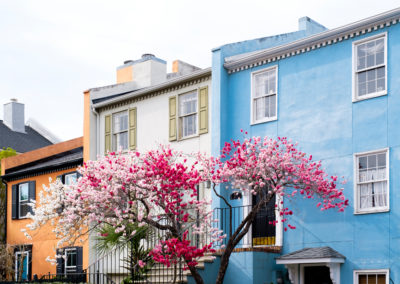 Fulton Street Blooms