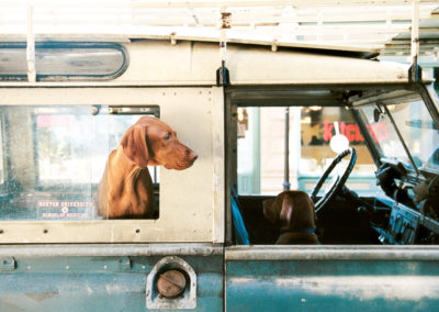 Land Rovers On King Street