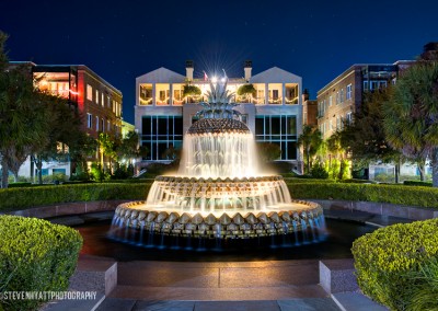 Pineapple Fountain at Night