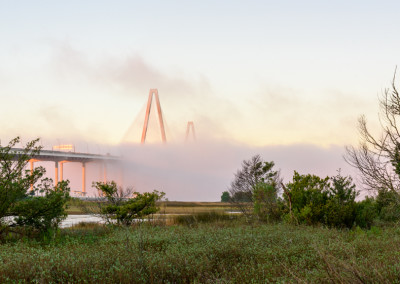 Ravenel Fog by Steven Hyatt