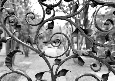 Wrought Iron Gate