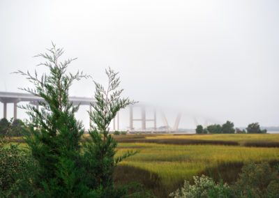 Bridge In The Fog