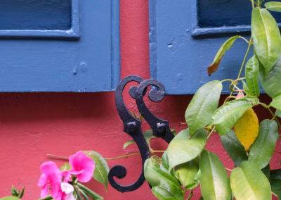 Shutters and Flowers